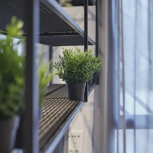 Apartamentos en Juan de Borbón